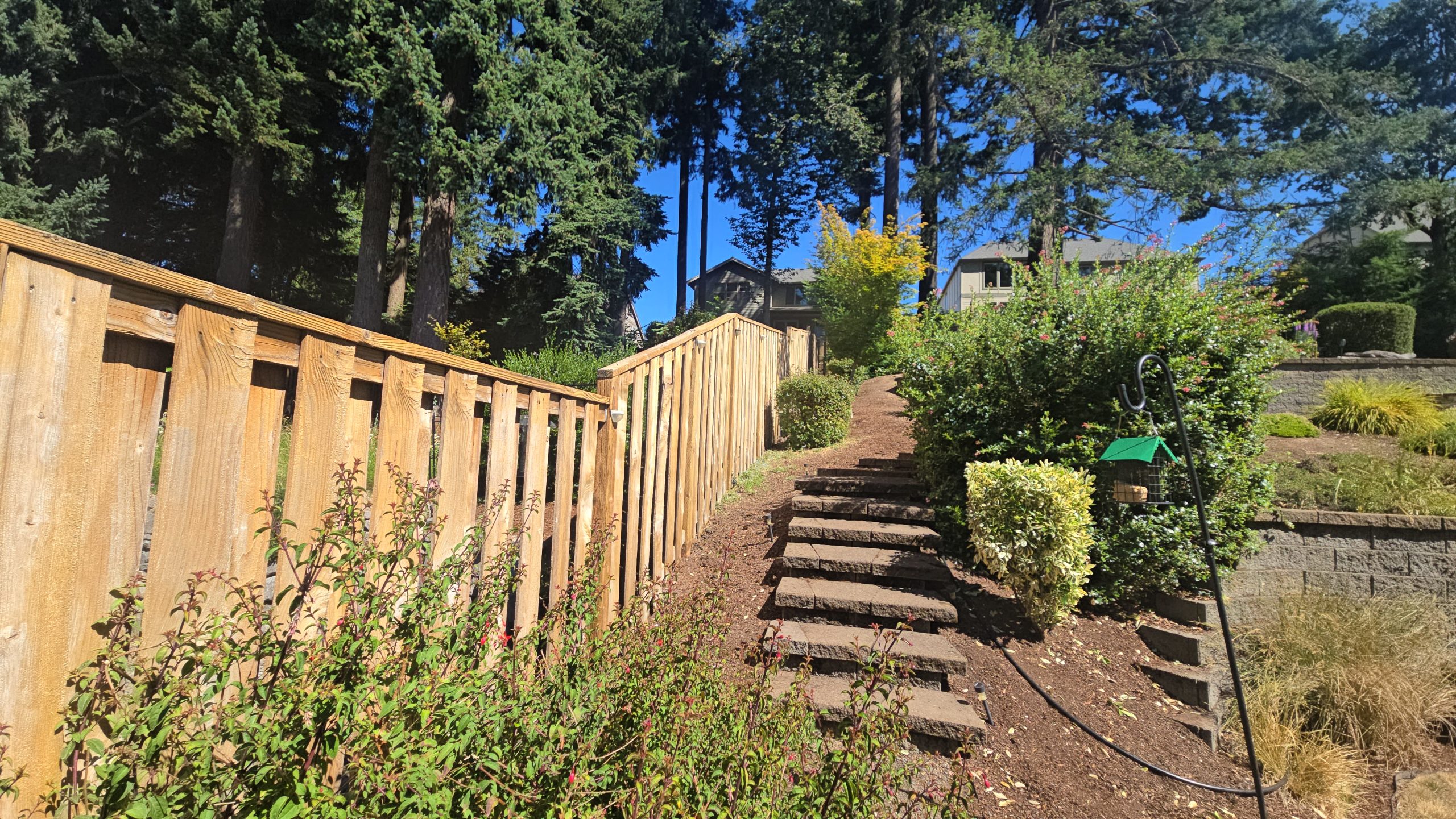 Stone steps leading up a garden path alongside a wooden fence.