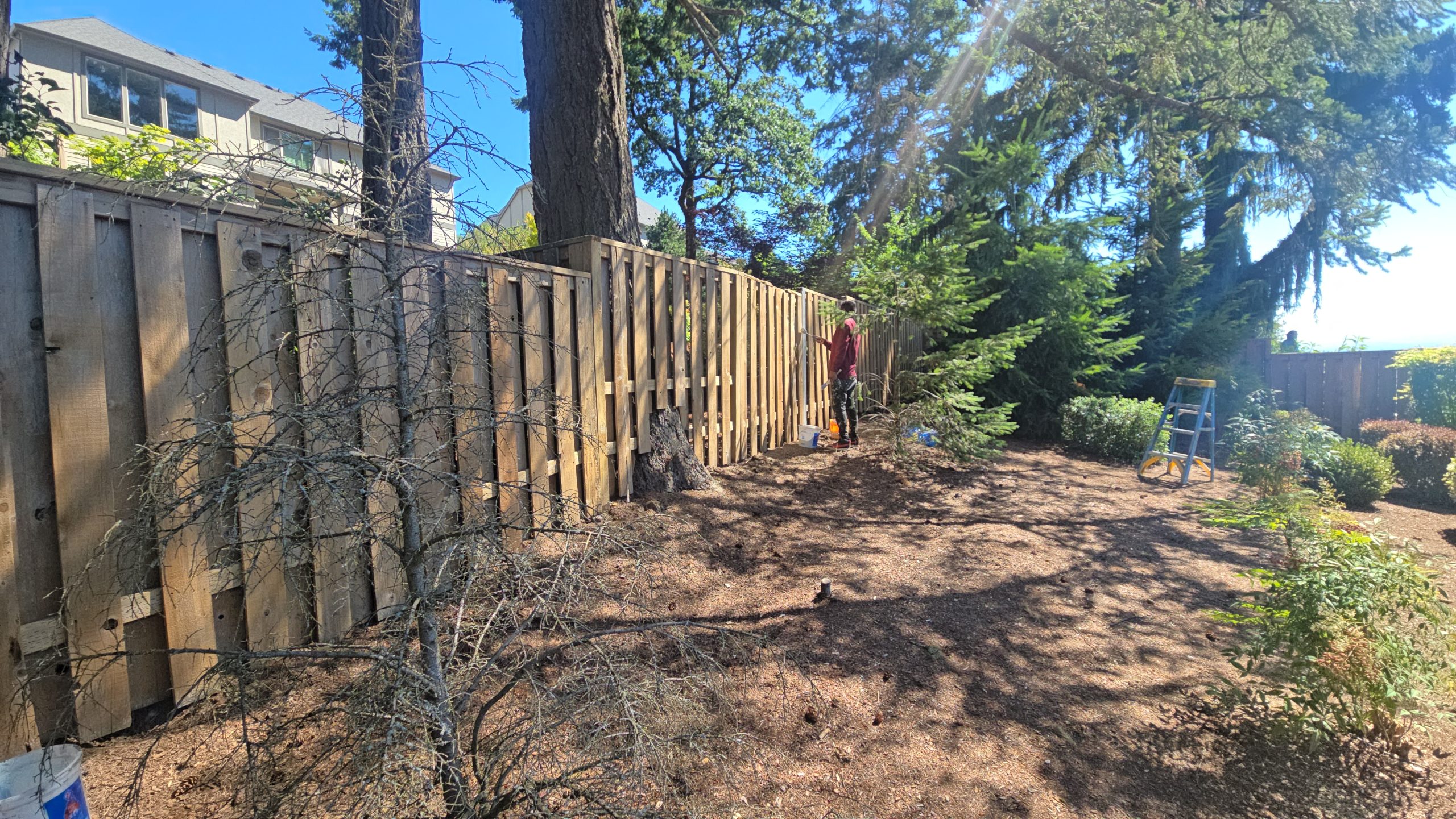 A person painting a tall wooden fence in a yard.